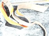 a pair of scissors that are laying on a piece of paper