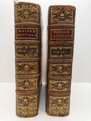Deux vieux livres sont posés côte à côte sur une table