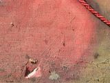a close up of a red rope on a red wall
