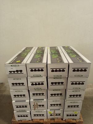 Lot de 20 Jardins verticaux muraux - Photo 1