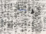 une image représentant un dessin en noir et blanc sur lequel on a tracé au marqueur bleu