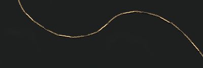 gold necklace with a long chain on a black background
