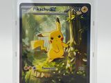 the pokemon card is in a clear plastic case