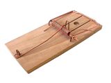 wooden mousetrage with a mousetrage attached to it on a white background