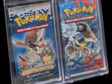 deux cartes à collectionner Pokémon dans un étui en plastique transparent
