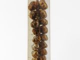 a glass vase filled with nuts on top of a table