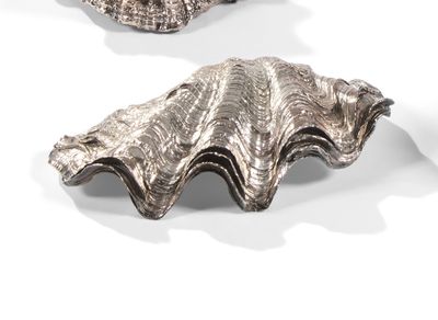 deux pièces métalliques argentées sont posées sur une surface blanche