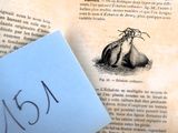 un morceau de papier posé sur un livre, sur lequel figure l'image d'une plante
