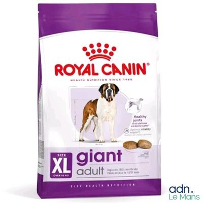 royal canin giant giant adult dry dog food