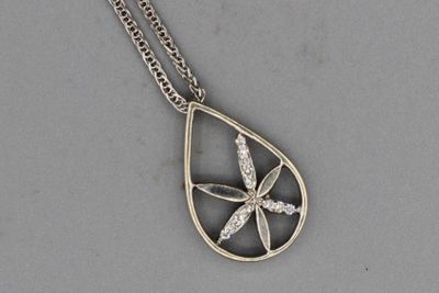un gros plan d'un collier en argent orné d'une libellule