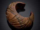 an image of a close up of a wooden object on a black surface