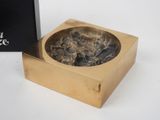 a box that has a fossil in it and a box that has a fossil in it