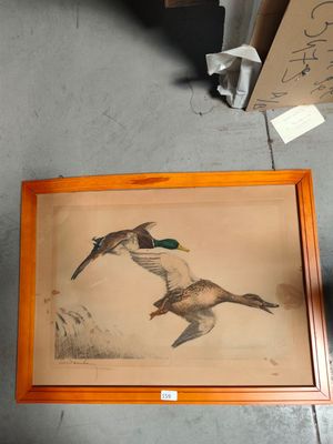 une photo de deux canards en plein vol