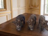 trois figurines de chiens posées sur une table dans une pièce