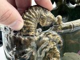 a hand that is holding a vase with a lion head on it