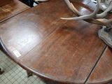 a table with a lot of antlers on top of it