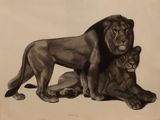 painting of a lion and a lioness resting on a rock