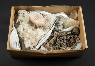 une boîte remplie d'une grande variété de roches et de cristaux