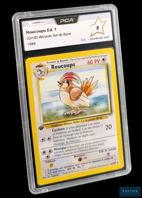 La carte Pokémon se trouve dans un étui en plastique transparent sur fond noir.