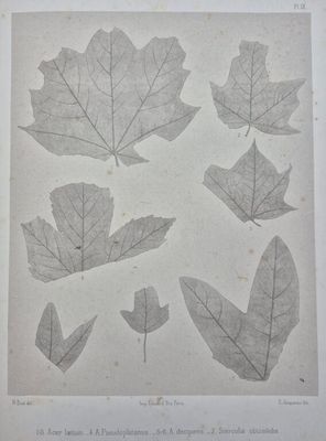 un vieux livre sur lequel figurent toutes sortes de pages différentes