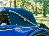 a blue vintage car parked in a park with trees in the background