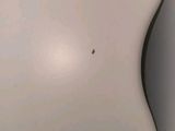 a close up of a white toilet with a black dot on it