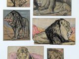 plusieurs dessins représentant un lion et une lionne allongés par terre