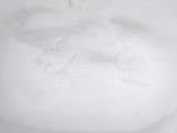 a white plate with a drawing of a horse on it