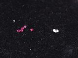 a pink flower that has been left on the ground