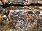 a close up of a sculpture of a bird on a rock