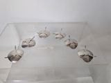 a clear display case with a bunch of silver seashells in it