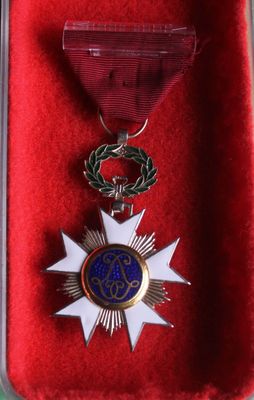 a close up of a medal in a red case on a table