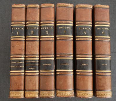 six vieux livres sont alignés sur une surface noire