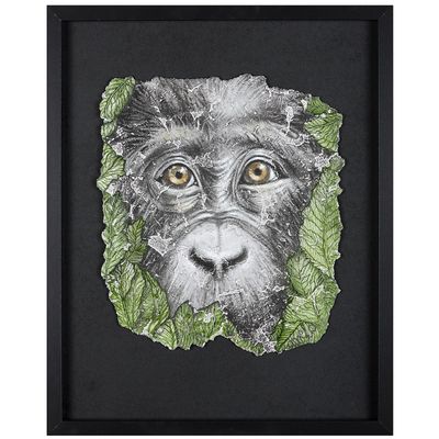 un gros plan sur la photo du visage d'un singe sur fond noir