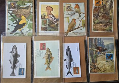 de nombreuses espèces différentes d'oiseaux et de poissons figurent sur les cartes