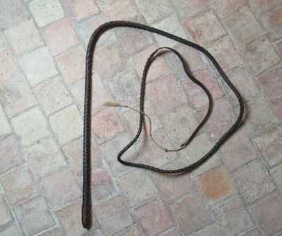 un serpent posé sur le sol à côté d'une paire de lunettes