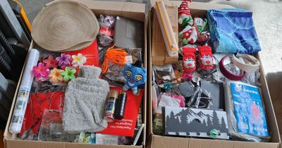 123 / 1 palette de 186 kg de mix (oreiller, pinces à c…