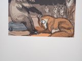 a picture of a badger and a dog playing with each other