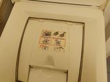 a toilet with a lid that has a sticker on it