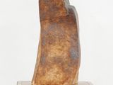Photo 8/8 du lot