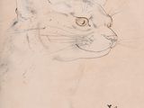 a drawing of a cat on a piece of paper