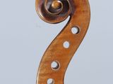 a close up of the back of a violin with a fiddle in the foreground
