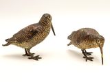 Deux petits oiseaux sont perchés l'un à côté de l'autre sur une surface blanche