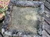 a cement plate sitting on a wooden table in the garden