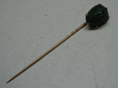 a green beetle on a gold stick on a white surface