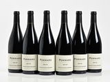 six bouteilles de vin sont alignées sur une surface blanche