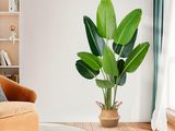 un salon avec un canapé et une plante dans un coin