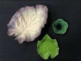 a cabbage and a cabbage leaf on a black surface