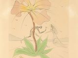 Photo 8/12 du lot