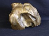 bronze sculpture of a shell on a black background